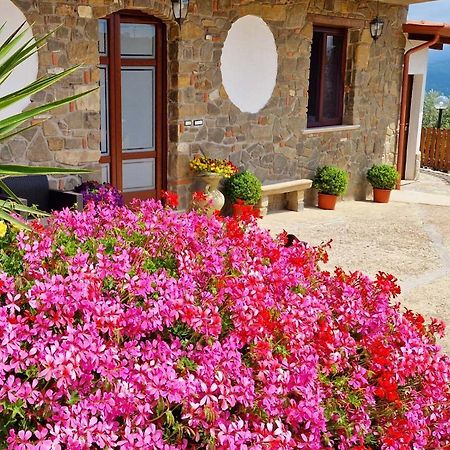Pietra Del Colle Agriturismo Altavilla Silentina Eksteriør billede