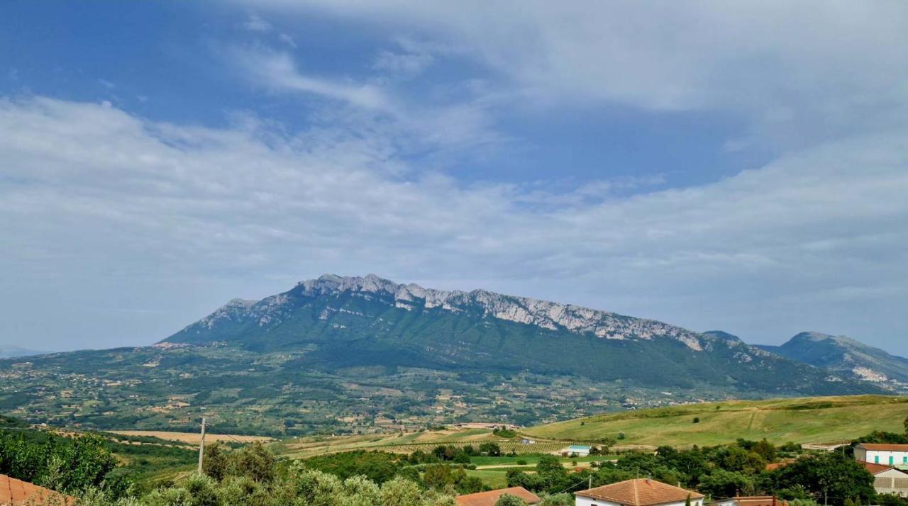 Pietra Del Colle Agriturismo Altavilla Silentina Eksteriør billede
