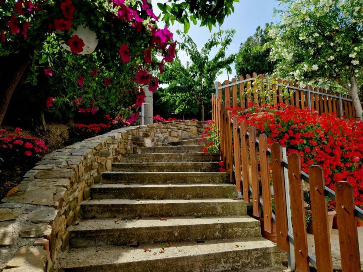 Pietra Del Colle Agriturismo Altavilla Silentina Eksteriør billede